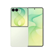 Samsung Galaxy Z Flip8 256 Go Vert d'eau